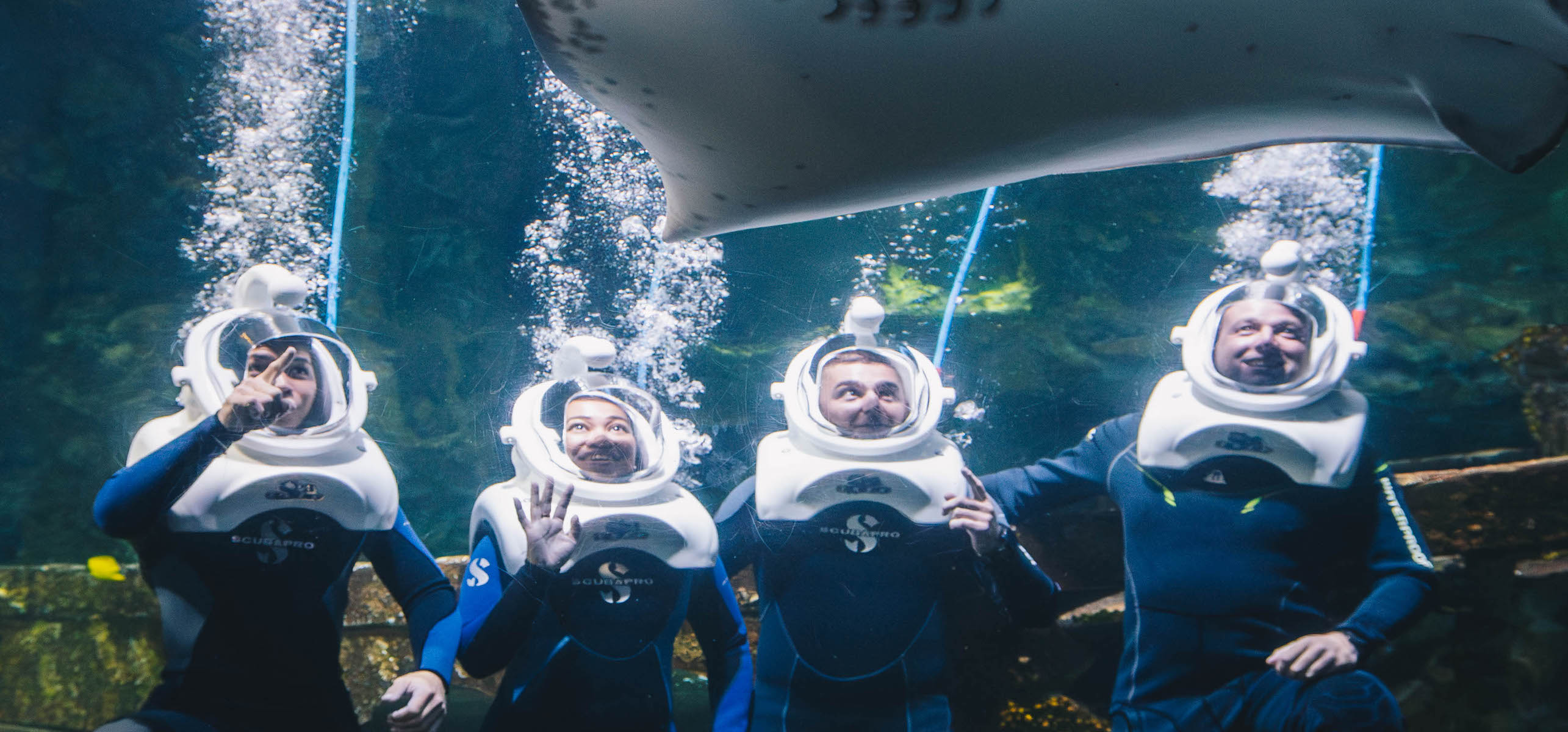 SeaTREK Adventure Experience